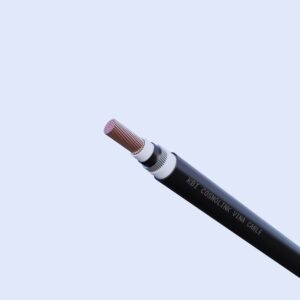 Cáp Cách điện Xlpe Vỏ Bọc Pvc Lbi-1