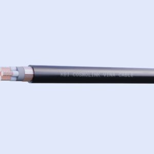 Cáp điều Khiển Cách điện Pvc 06 1kv Kbi-1