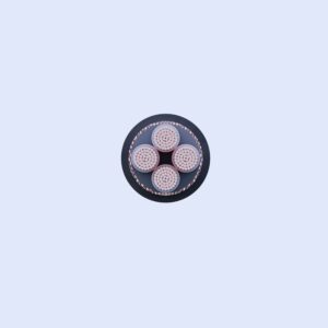 Cáp điều Khiển Cách điện Pvc 06 1kv Kbi-3