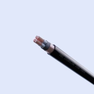 Cáp điều Khiển Cách điện Pvc 06 1kv Kbi