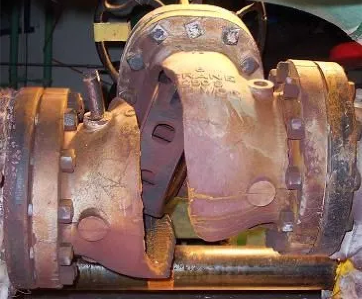 972bf732-8de8-41b6-94d3-a5274baa3ef6