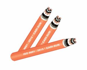 Nhà phân phối dây trung thế tại Hà Nội