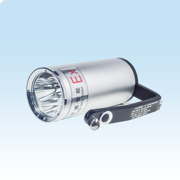 Máy Dò Chống Cháy Nổ Led Câm Tay Bad319