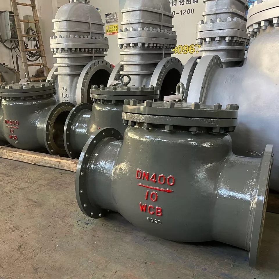 Swing-check-flange-valve6