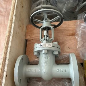 Van-cong-thep-wcb-mat-bich-pn16-z41h-16c-1214